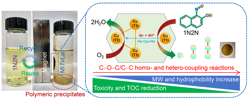 Graphical abstract-1N2N Graphical abstract-1N2N