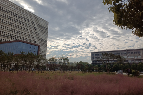 微信图片_20221020145634.jpg