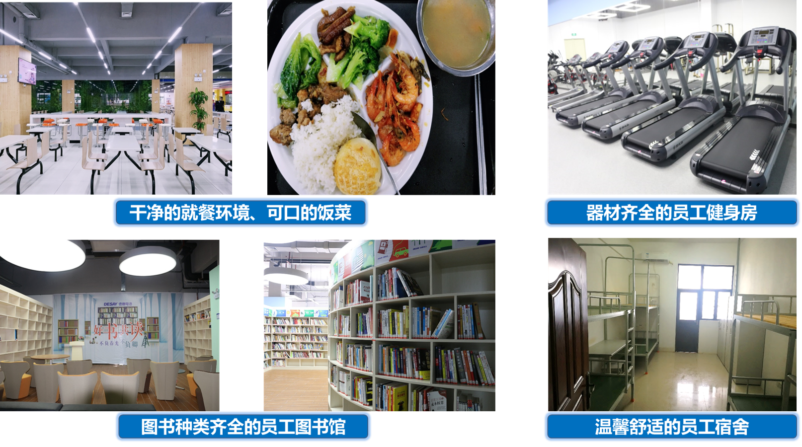 德赛电池02.png